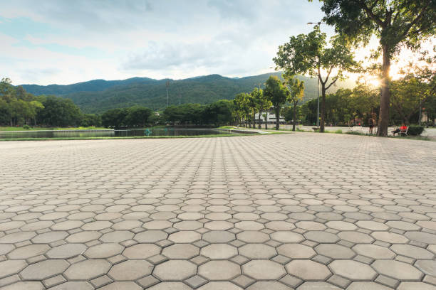 Best Residential Driveway Paver Services  in Stevensville, MI